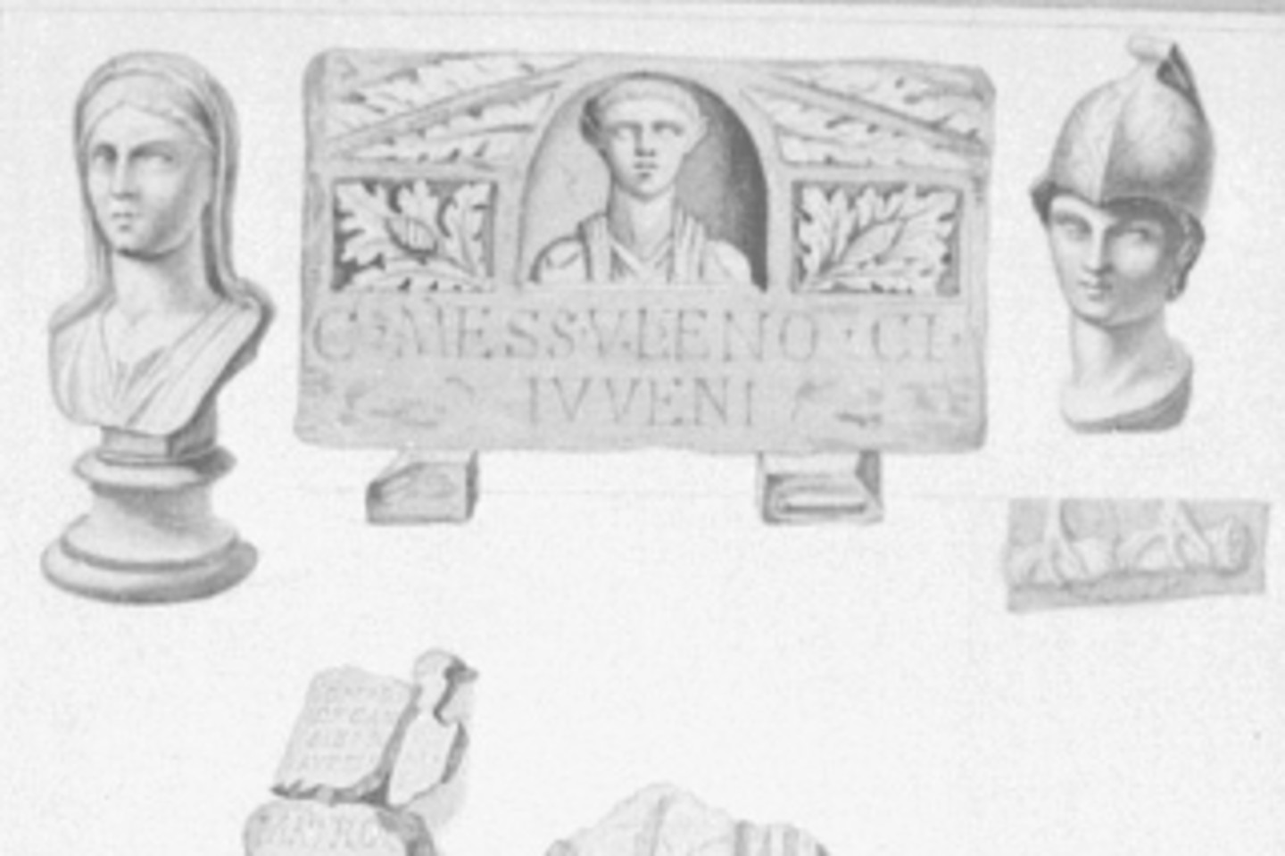 Antike Skulpturen im Wallrafianum (Bildtafel 8)