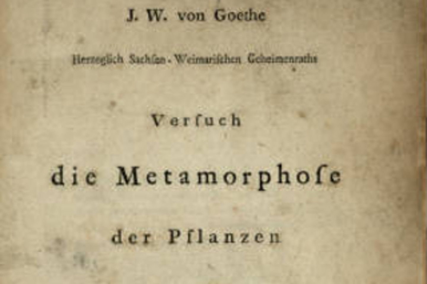 Goethe als Botaniker (Philosophia, Botanica)
